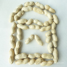 Shandong raw peanuts in shell count 9/11 for sale